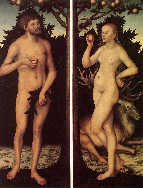 CRANACH, Lucas the Elder Adam and Eve 03 Spain oil painting art